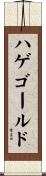 ハゲゴールド Scroll