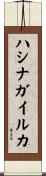ハシナガイルカ Scroll