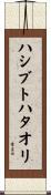 ハシブトハタオリ Scroll