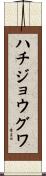 ハチジョウグワ Scroll