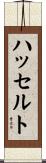 ハッセルト Scroll