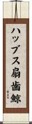 ハッブス扇歯鯨 Scroll