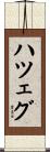 ハツェグ Scroll