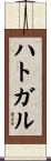 ハトガル Scroll