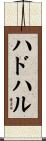 ハドハル Scroll