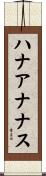 ハナアナナス Scroll