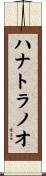 ハナトラノオ Scroll