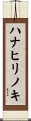 ハナヒリノキ Scroll