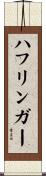 ハフリンガー Scroll