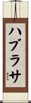 ハブラサ Scroll