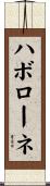 ハボローネ Scroll