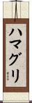 ハマグリ Scroll