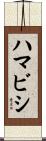 ハマビシ Scroll