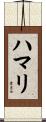 ハマリ Scroll