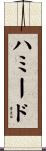 ハミード Scroll