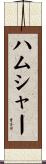 ハムシャー Scroll