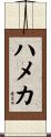 ハメカ Scroll