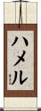 Hammel Scroll