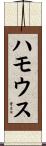 ハモウス Scroll