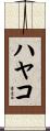 ハヤコ Scroll