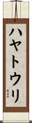 ハヤトウリ Scroll