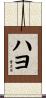 ハヨ Scroll