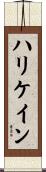 ハリケイン Scroll