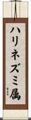 ハリネズミ属 Scroll
