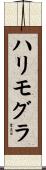 ハリモグラ Scroll