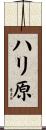 ハリ原 Scroll