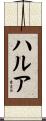 ハルア Scroll