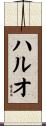 ハルオ Scroll