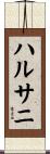 ハルサニ Scroll