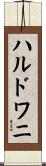 ハルドワニ Scroll