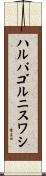 ハルパゴルニスワシ Scroll