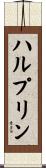 ハルプリン Scroll