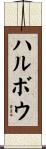 ハルボウ Scroll