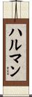 ハルマン Scroll