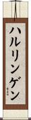 ハルリンゲン Scroll