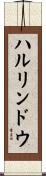 ハルリンドウ Scroll