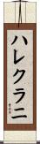 ハレクラニ Scroll