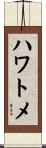 ハワトメ Scroll