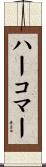 ハーコマー Scroll