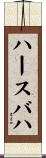 ハースバハ Scroll