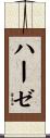 Haase Scroll