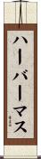 ハーバーマス Scroll