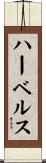 ハーベルス Scroll