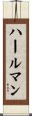 ハールマン Scroll