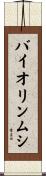 バイオリンムシ Scroll