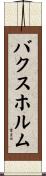 バクスホルム Scroll
